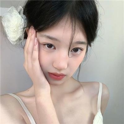 庇护棕榈树下